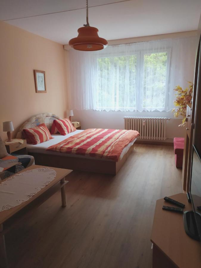 V Apartment Srni